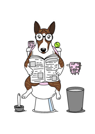 WC bílé pozadí.jpg